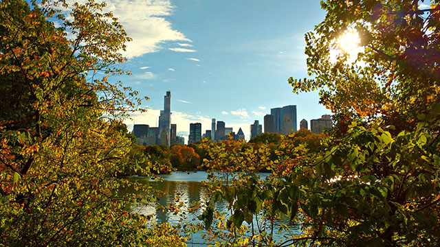 Central Park